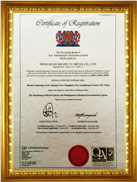 ISO 14001/2004 （中文版）